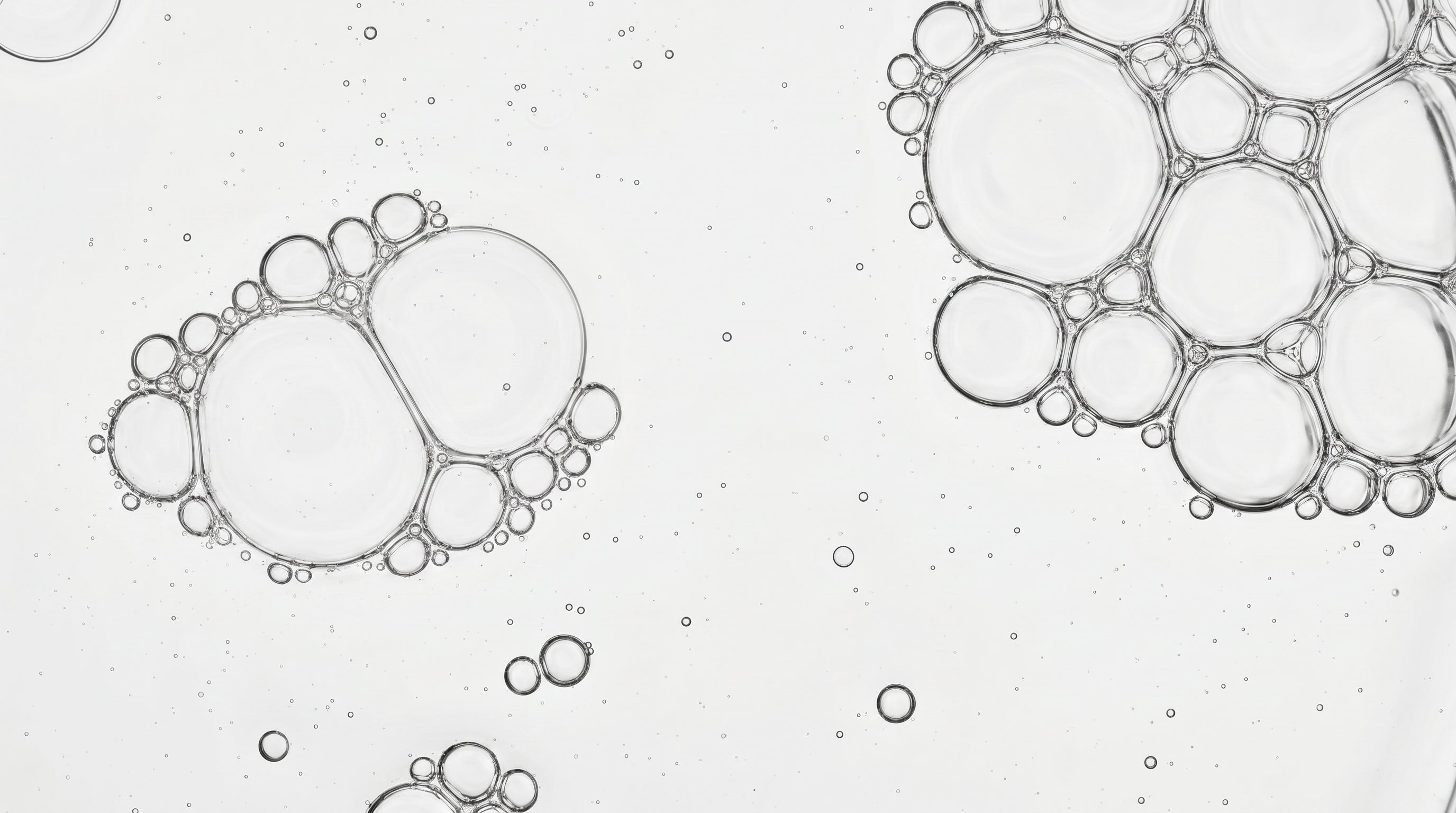 what's actually in your shampoo's base