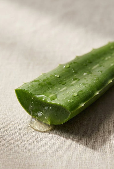 Aloe Vera Extract