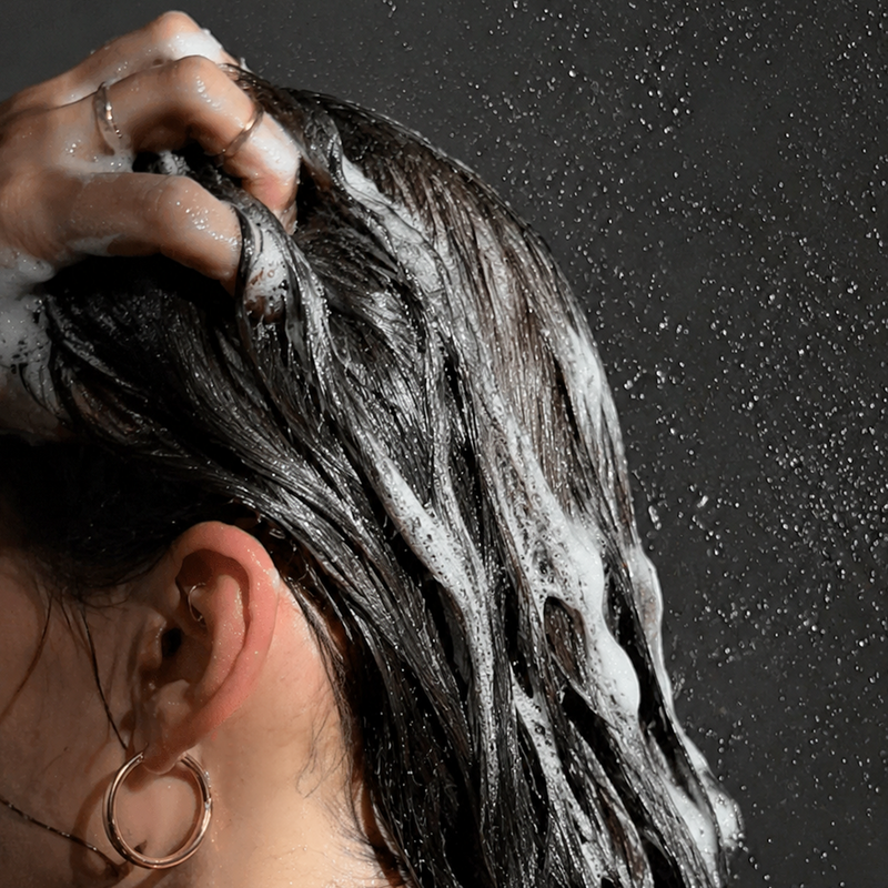 Moisture Repair Shampoo